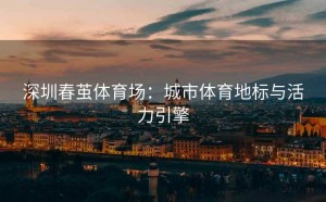 深圳春茧体育场：城市体育地标与活力引擎