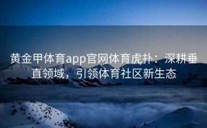 黄金甲体育app官网体育虎扑：深耕垂直领域，引领体育社区新生态