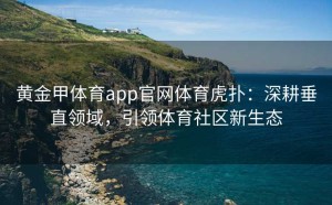 黄金甲体育app官网体育虎扑：深耕垂直领域，引领体育社区新生态