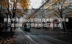 黄金甲体育app官网体育虎扑：深耕垂直领域，引领体育社区新生态