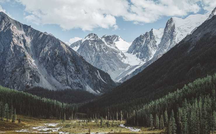 操体育生:汗水浇灌梦想 舞台绽放青春 操体育生:汗水浇灌梦想 舞台绽放青春