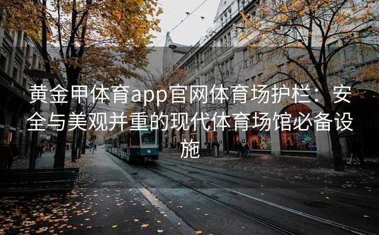黄金甲体育app官网体育场护栏:安全与美观并重的现代体育场馆必备设施 黄金甲体育app官网体育场护栏:安全与美观并重的现代体育场馆必备设施