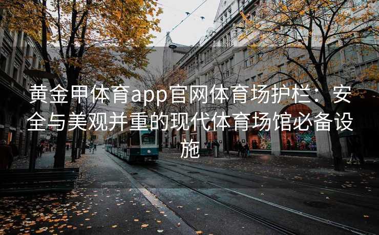 黄金甲体育app官网体育场护栏:安全与美观并重的现代体育场馆必备设施 黄金甲体育app官网体育场护栏:安全与美观并重的现代体育场馆必备设施